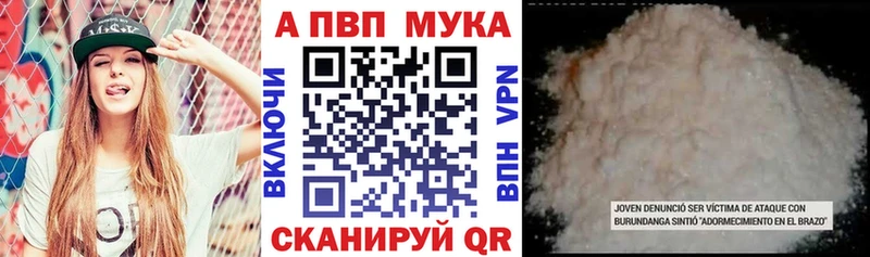 Alfa_PVP СК КРИС  Горно-Алтайск 