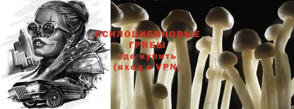 твердый Бронницы