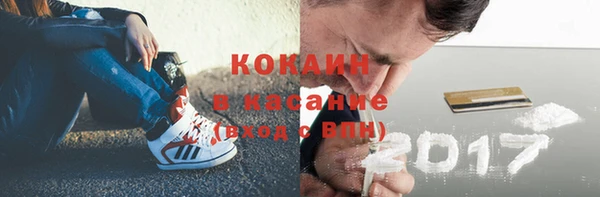 твердый Бронницы