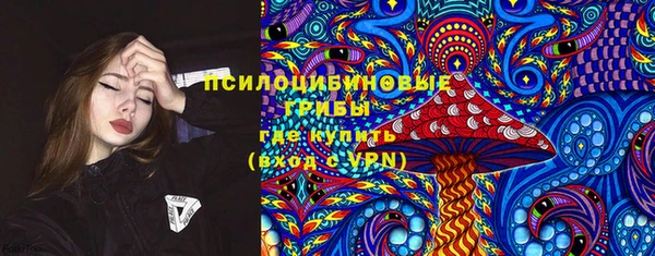 твердый Бронницы
