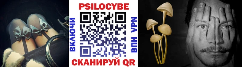 Псилоцибиновые грибы GOLDEN TEACHER  Горно-Алтайск 